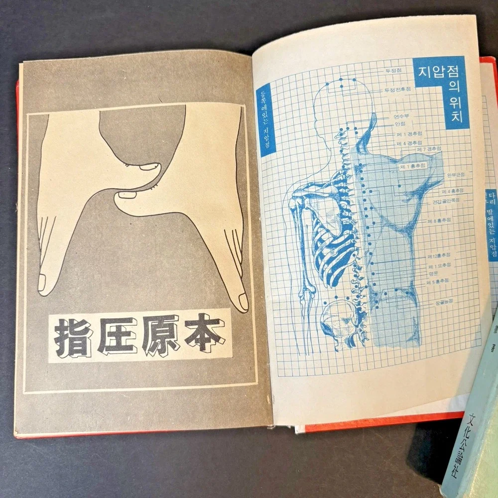 Shiatsu Japanese Finger Pressure Therapy By Namikoshi 1977 Korean Chinese
